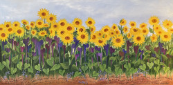THE SUNFLOWERS